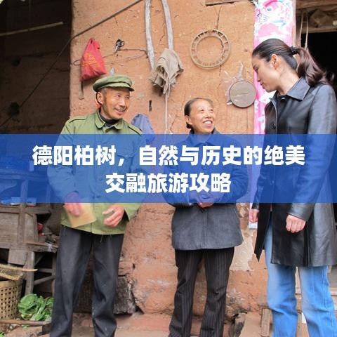 德陽柏樹，自然與歷史的絕美交融旅游攻略