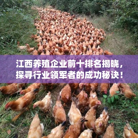 江西養(yǎng)殖企業(yè)前十排名揭曉，探尋行業(yè)領(lǐng)軍者的成功秘訣！