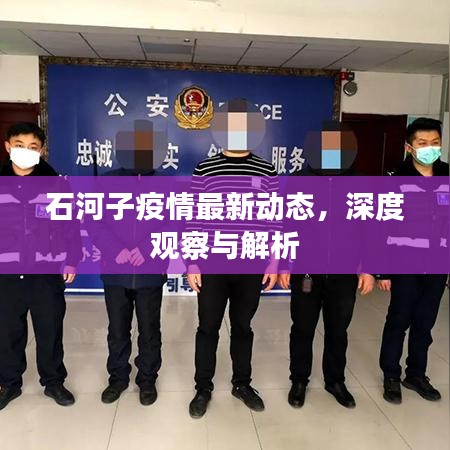 石河子疫情最新動態(tài)，深度觀察與解析