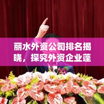 麗水外資公司排名揭曉，探究外資企業(yè)蓬勃發(fā)展態(tài)勢