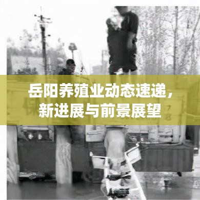 岳陽養(yǎng)殖業(yè)動態(tài)速遞，新進展與前景展望