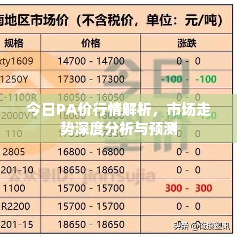 今日PA價行情解析，市場走勢深度分析與預(yù)測