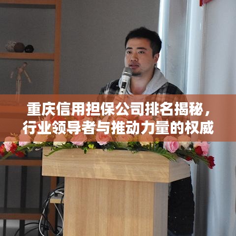 重慶信用擔(dān)保公司排名揭秘，行業(yè)領(lǐng)導(dǎo)者與推動力量的權(quán)威榜單
