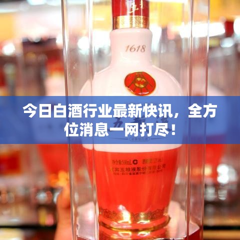 今日白酒行業(yè)最新快訊，全方位消息一網打盡！