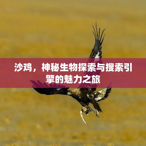 沙雞，神秘生物探索與搜索引擎的魅力之旅