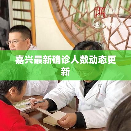 嘉興最新確診人數動態(tài)更新