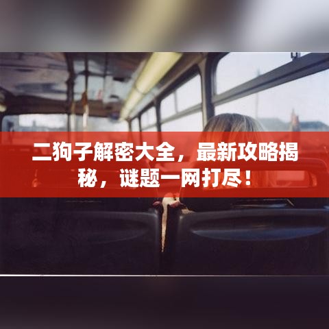 二狗子解密大全，最新攻略揭秘，謎題一網(wǎng)打盡！