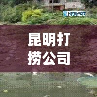 昆明打撈公司排名揭曉，行業(yè)影響力深度解析