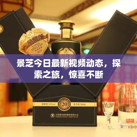 景芝今日最新視頻動(dòng)態(tài)，探索之旅，驚喜不斷