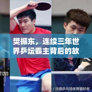 樊振東，連續(xù)三年世界乒壇霸主背后的故事