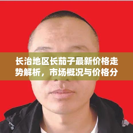 長治地區(qū)長茄子最新價格走勢解析，市場概況與價格分析