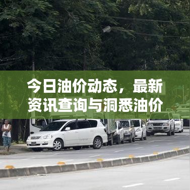今日油價動態(tài)，最新資訊查詢與洞悉油價走勢