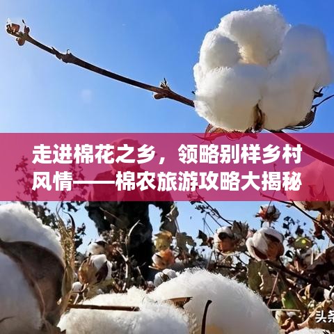 走進棉花之鄉(xiāng)，領略別樣鄉(xiāng)村風情——棉農旅游攻略大揭秘