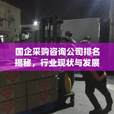 國企采購咨詢公司排名揭秘，行業(yè)現(xiàn)狀與發(fā)展趨勢深度剖析
