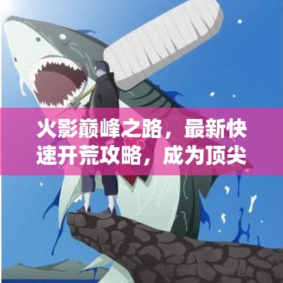 火影巔峰之路，最新快速開(kāi)荒攻略，成為頂尖忍者指南