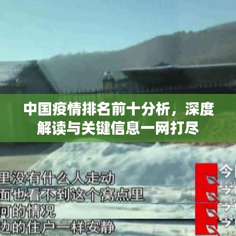 中國疫情排名前十分析，深度解讀與關(guān)鍵信息一網(wǎng)打盡