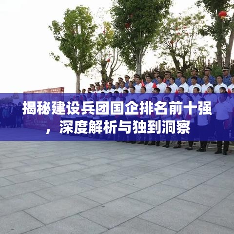 揭秘建設(shè)兵團(tuán)國(guó)企排名前十強(qiáng)，深度解析與獨(dú)到洞察