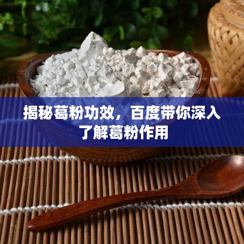 揭秘葛粉功效，百度帶你深入了解葛粉作用