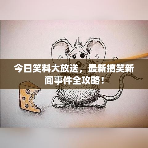 今日笑料大放送，最新搞笑新聞事件全攻略！