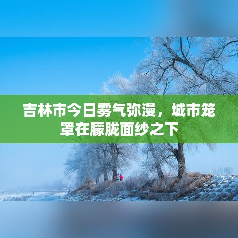 吉林市今日霧氣彌漫，城市籠罩在朦朧面紗之下