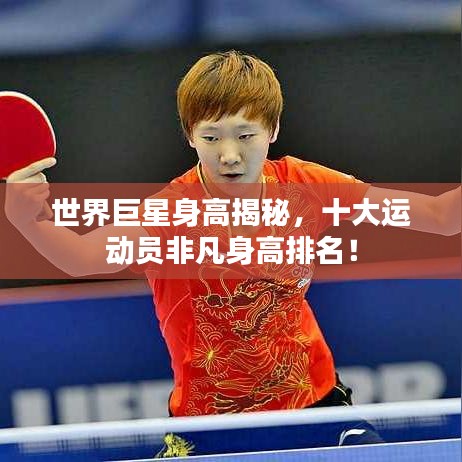 世界巨星身高揭秘，十大運(yùn)動(dòng)員非凡身高排名！