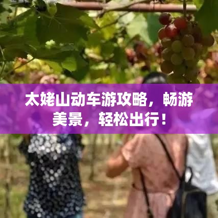 太姥山動車游攻略，暢游美景，輕松出行！