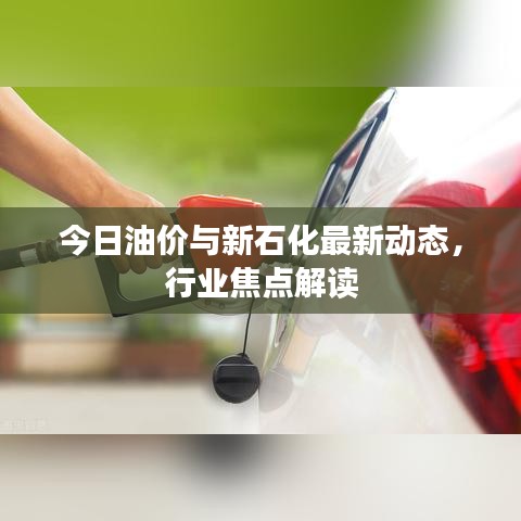 今日油價(jià)與新石化最新動(dòng)態(tài)，行業(yè)焦點(diǎn)解讀