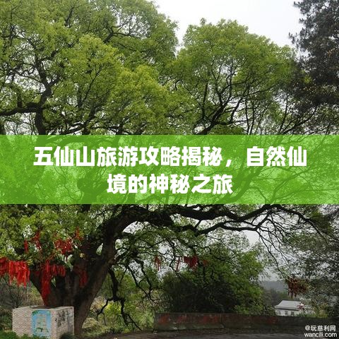 五仙山旅游攻略揭秘，自然仙境的神秘之旅