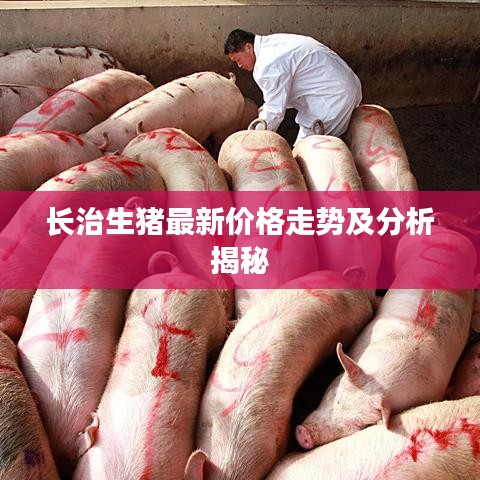 長治生豬最新價格走勢及分析揭秘