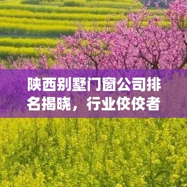 陜西別墅門窗公司排名揭曉，行業(yè)佼佼者深度解讀