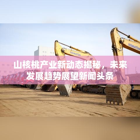 山核桃產(chǎn)業(yè)新動(dòng)態(tài)揭秘，未來(lái)發(fā)展趨勢(shì)展望新聞?lì)^條