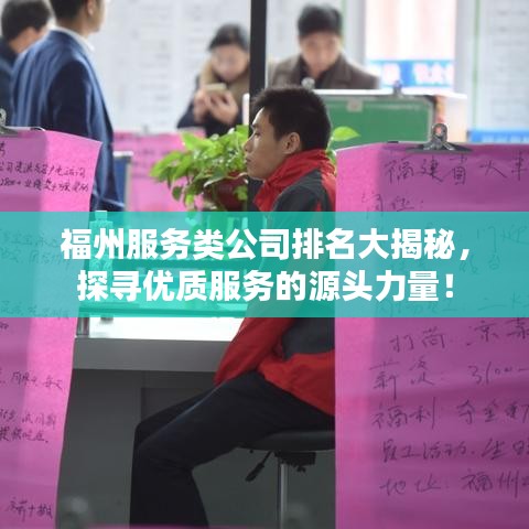 福州服務(wù)類公司排名大揭秘，探尋優(yōu)質(zhì)服務(wù)的源頭力量！