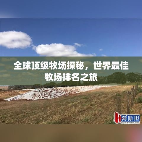 全球頂級牧場探秘，世界最佳牧場排名之旅
