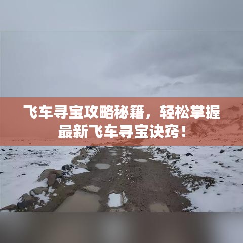 飛車尋寶攻略秘籍，輕松掌握最新飛車尋寶訣竅！