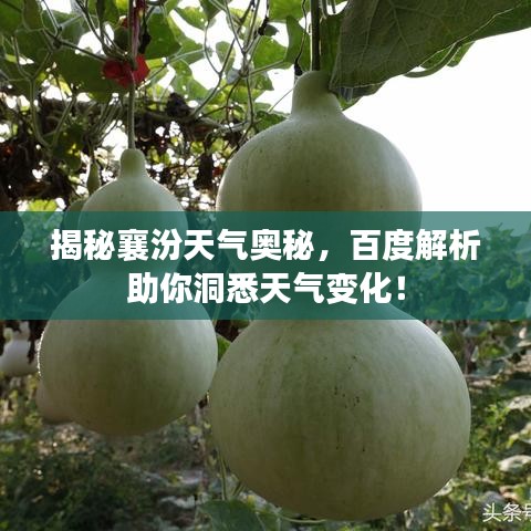 揭秘襄汾天氣奧秘，百度解析助你洞悉天氣變化！