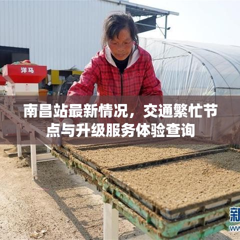 2025年6月2日 第7頁