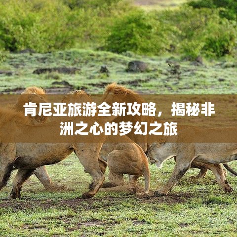 肯尼亞旅游全新攻略，揭秘非洲之心的夢(mèng)幻之旅