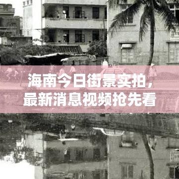海南今日街景實(shí)拍，最新消息視頻搶先看