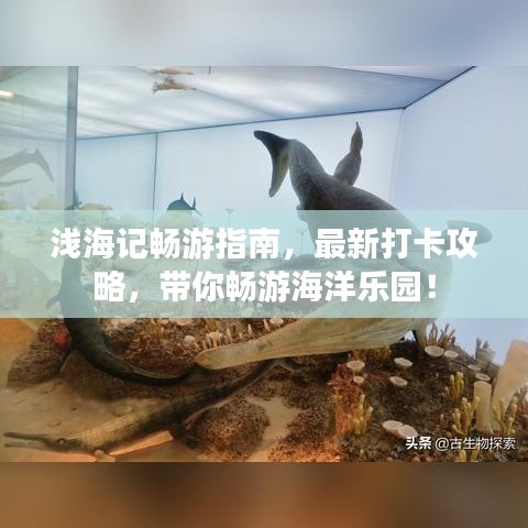 淺海記暢游指南，最新打卡攻略，帶你暢游海洋樂園！