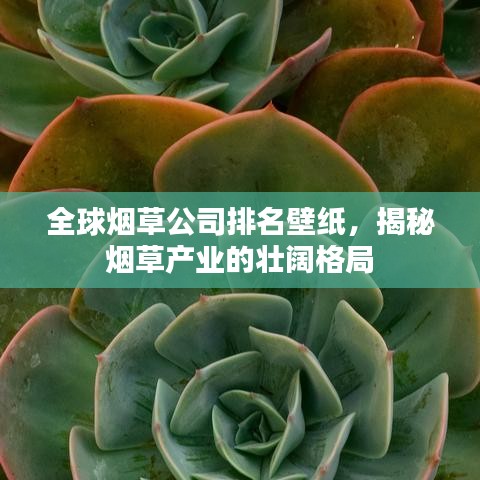 全球煙草公司排名壁紙，揭秘?zé)煵莓a(chǎn)業(yè)的壯闊格局