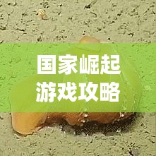 國家崛起游戲攻略大全，征服世界的戰(zhàn)略秘籍