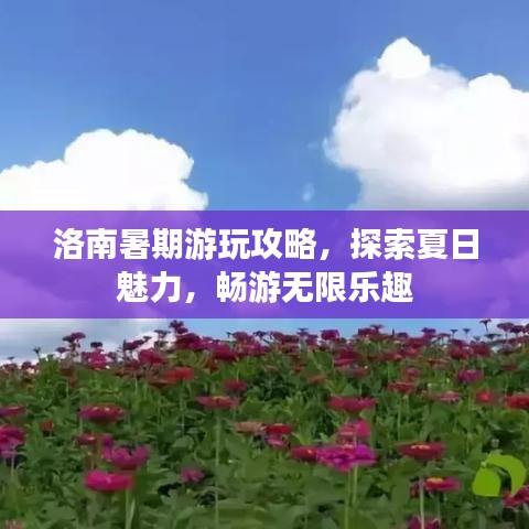 洛南暑期游玩攻略，探索夏日魅力，暢游無(wú)限樂(lè)趣