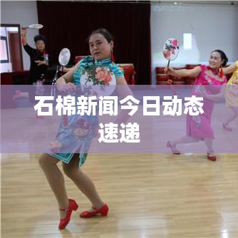 石棉新聞今日動(dòng)態(tài)速遞