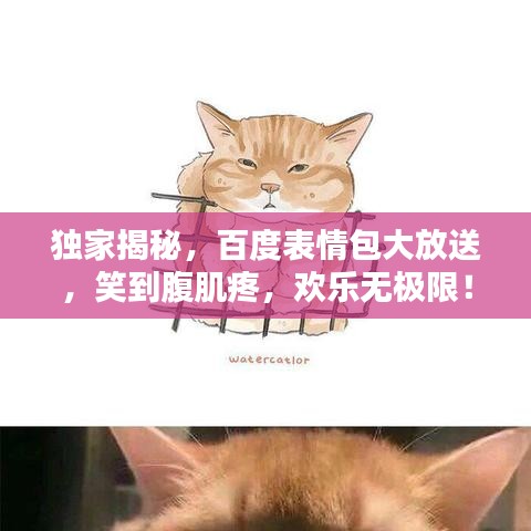 獨(dú)家揭秘，百度表情包大放送，笑到腹肌疼，歡樂(lè)無(wú)極限！