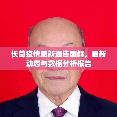 長(zhǎng)葛疫情最新通告圖解，最新動(dòng)態(tài)與數(shù)據(jù)分析報(bào)告