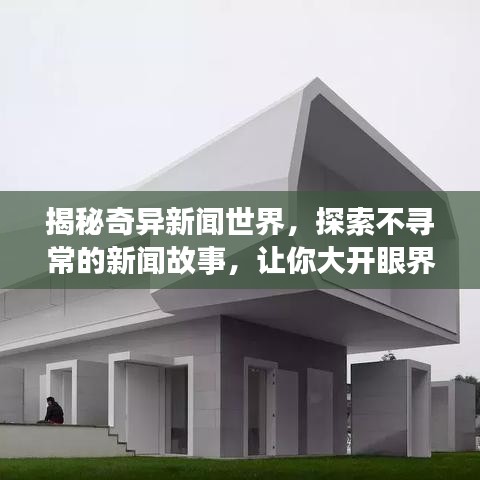 揭秘奇異新聞世界，探索不尋常的新聞故事，讓你大開眼界！