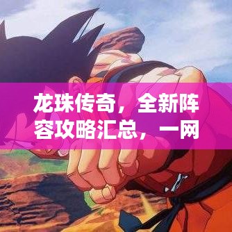 龍珠傳奇，全新陣容攻略匯總，一網(wǎng)打盡！