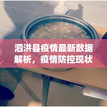 泗洪縣疫情最新數(shù)據(jù)解析，疫情防控現(xiàn)狀全面觀察