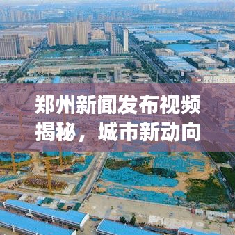 鄭州新聞發(fā)布視頻揭秘，城市新動(dòng)向深度解讀