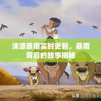 淶源暴雨實時更新，暴雨背后的故事揭秘